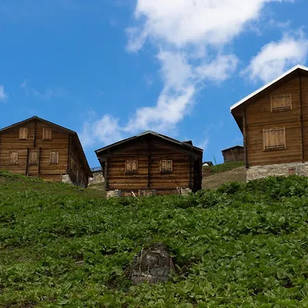 Ricosta 5* Rize